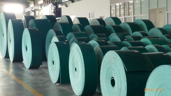 plastic conveyor belt