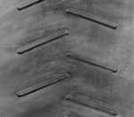 cross convex covneyor belt